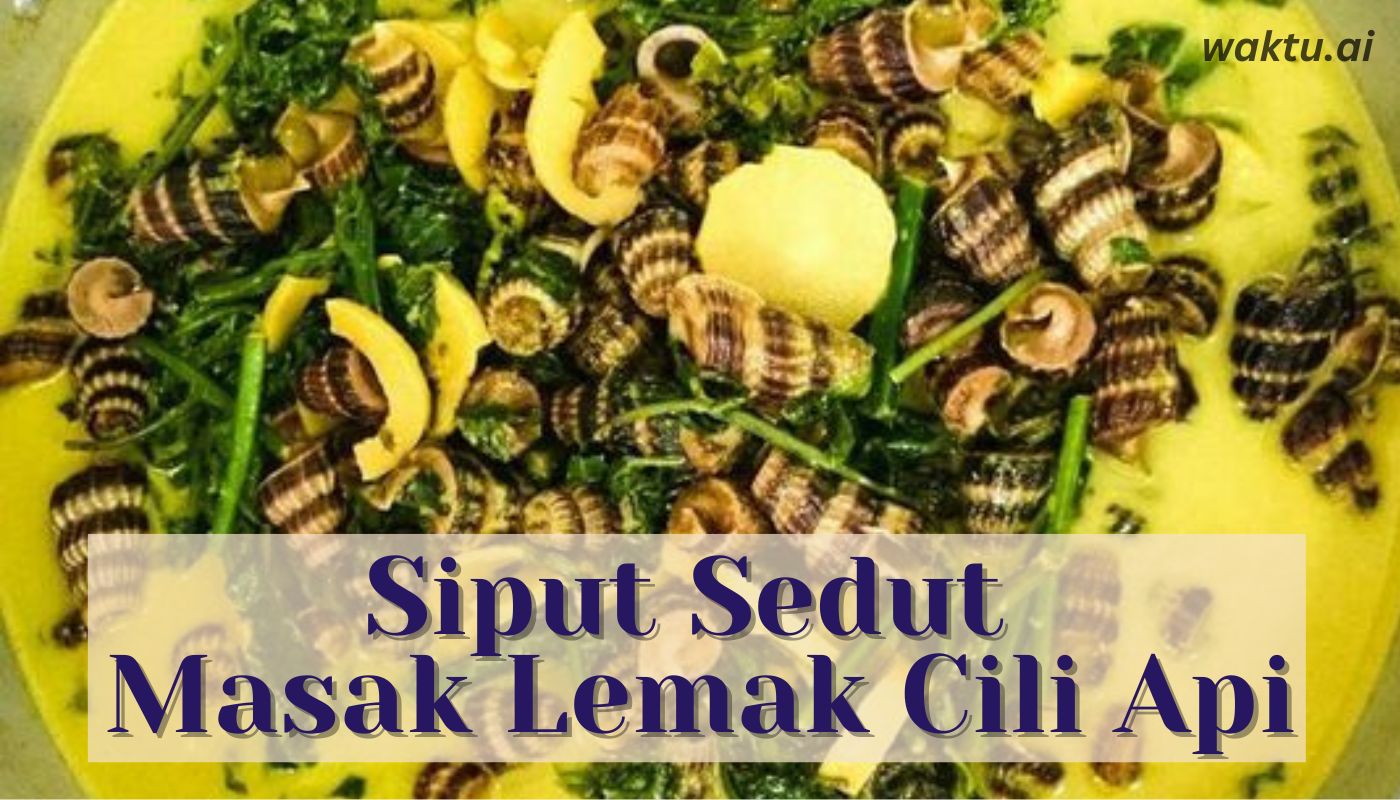 Resepi Siput Sedut Masak Lemak Cili Api