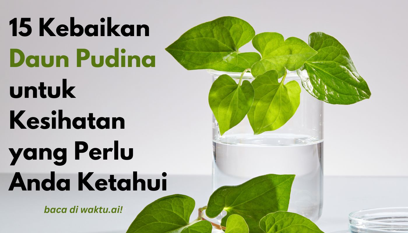 daun pudina