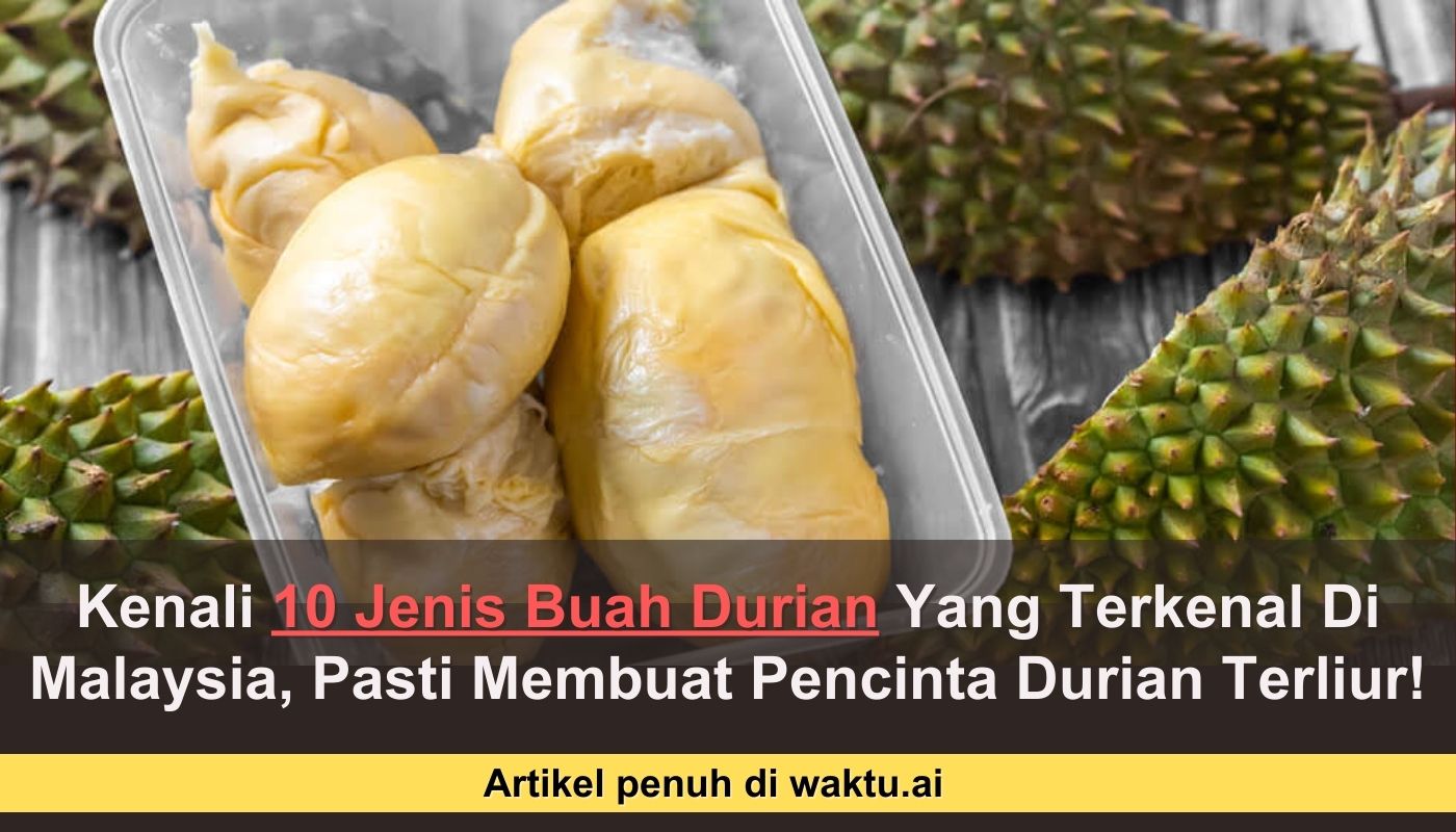 BUAH DURIAN