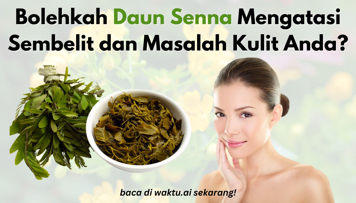 daun senna