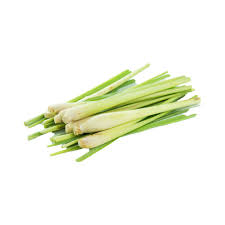 Menghalau Tikus dari Rumah