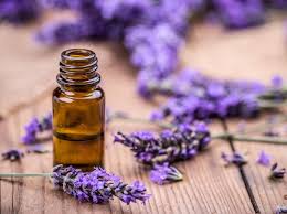 Menghalau Tikus dari Rumah