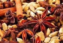 Menghalau Tikus dari Rumah