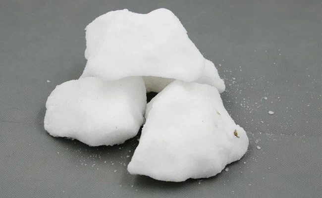 Menghalau Tikus dari Rumah