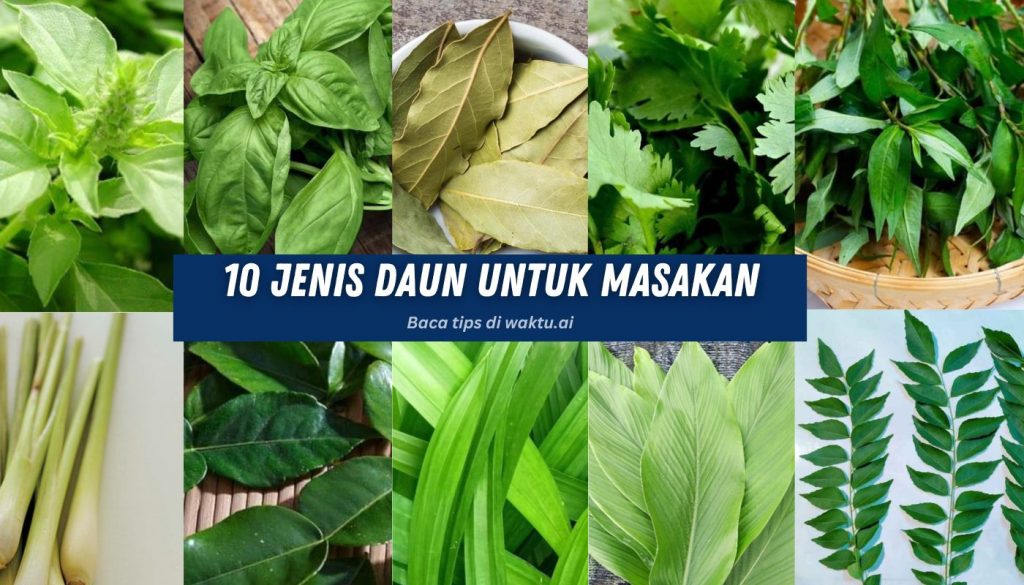 10 Jenis Daun