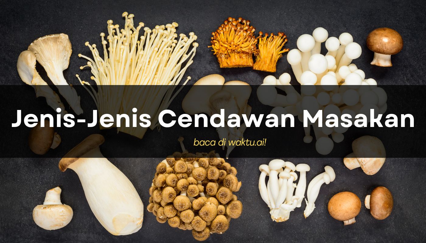 jenis-jenis cendawan