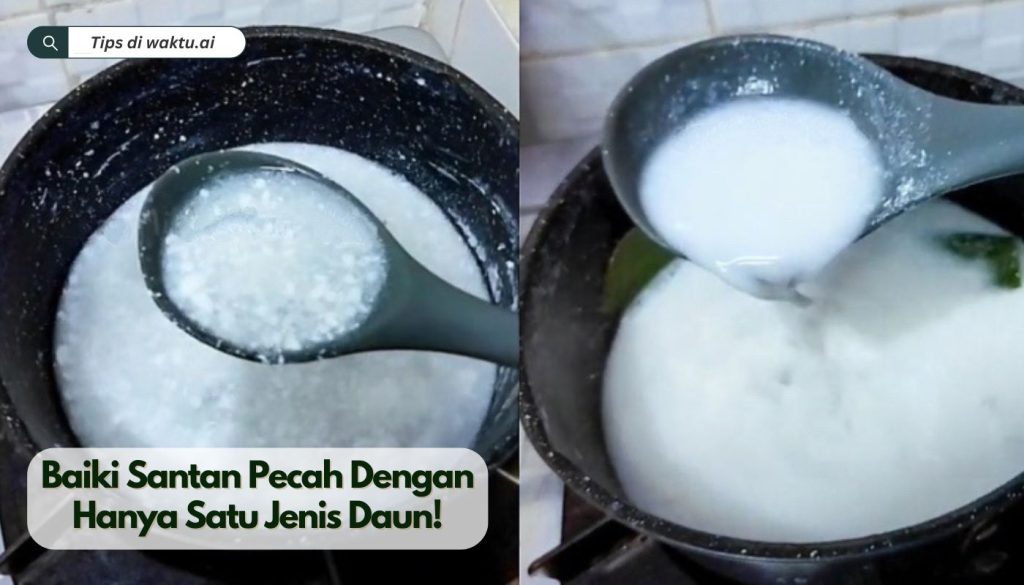 Baiki Santan Pecah Dengan Hanya Satu Jenis Daun!